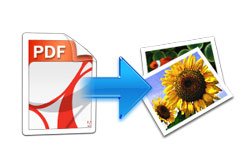 Quick and easy convert PDF into interactive flash converter quick_easy_convert_pdf_to_ppt
