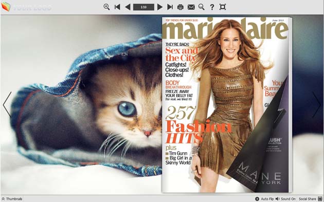 PDF to Flash Converter Themes For Cat screenshot PDF to Flash Converter Themes For Cat screenshot