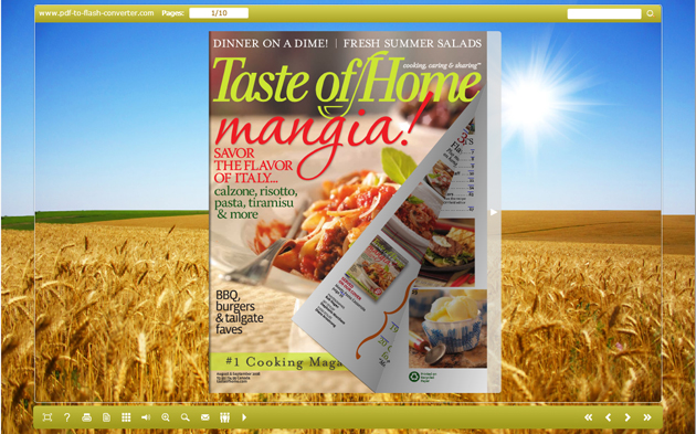 PDF to Flash Converter Themes for Wheat screenshot
